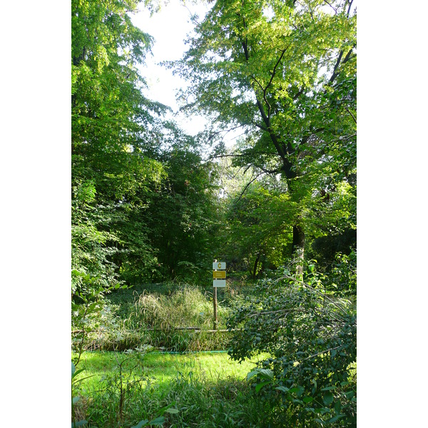 Picture France Paris Jardin des Plantes 2007-08 130 - Discovery Jardin des Plantes