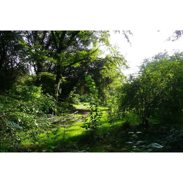 Picture France Paris Jardin des Plantes 2007-08 153 - Tours Jardin des Plantes