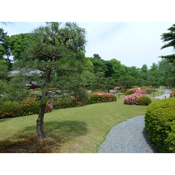 Picture Japan Kyoto Nijo Castle 2010-06 104 - Center Nijo Castle