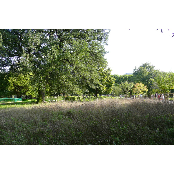 Picture France Paris Jardin des Plantes 2007-08 145 - Discovery Jardin des Plantes