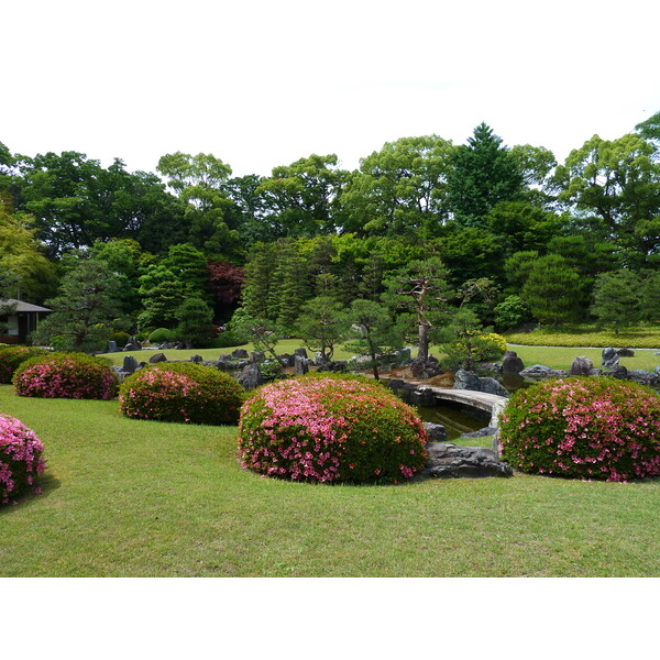 Picture Japan Kyoto Nijo Castle 2010-06 123 - Discovery Nijo Castle