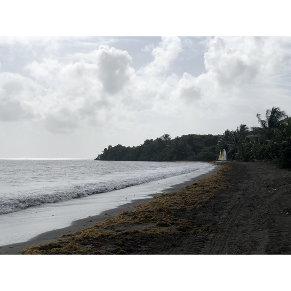 Picture Guadeloupe Viard Beach 2021-02 5 - Around Viard Beach