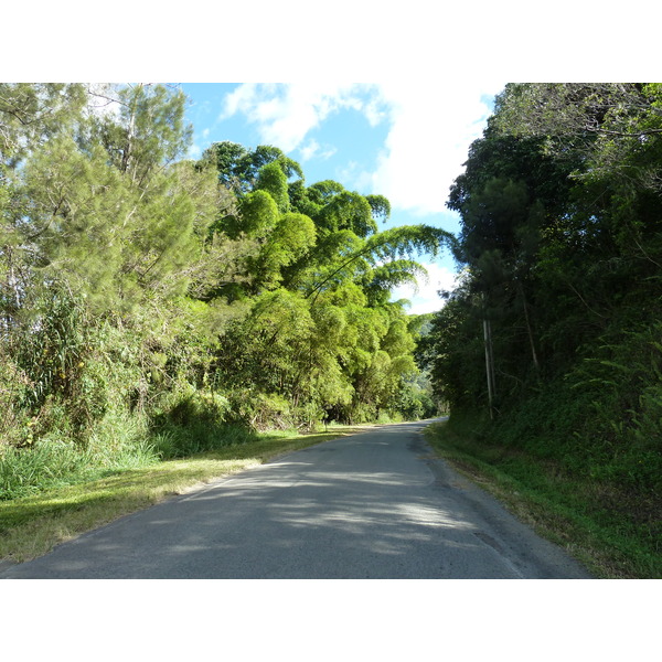 Picture New Caledonia Tontouta to Thio road 2010-05 35 - Around Tontouta to Thio road