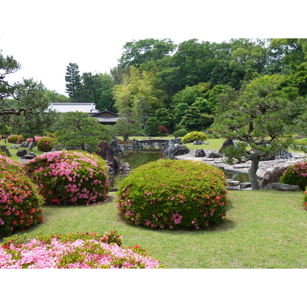 Picture Japan Kyoto Nijo Castle 2010-06 124 - Discovery Nijo Castle