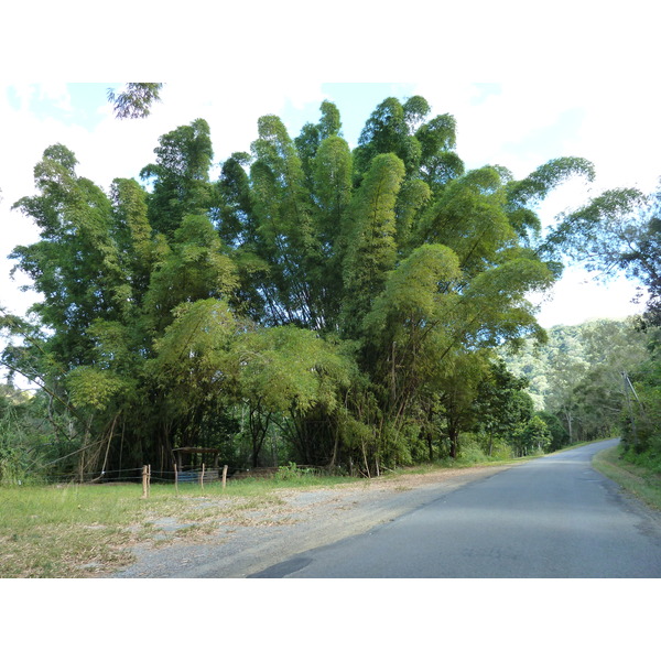 Picture New Caledonia Tontouta to Thio road 2010-05 20 - Around Tontouta to Thio road