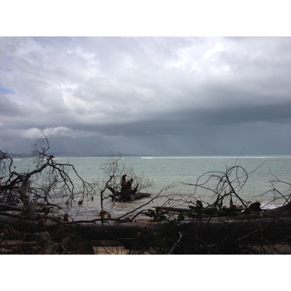 Picture Costa Rica Cahuita 2015-03 54 - Tours Cahuita