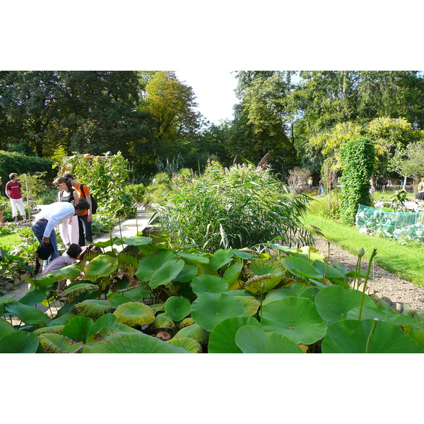 Picture France Paris Jardin des Plantes 2007-08 74 - History Jardin des Plantes