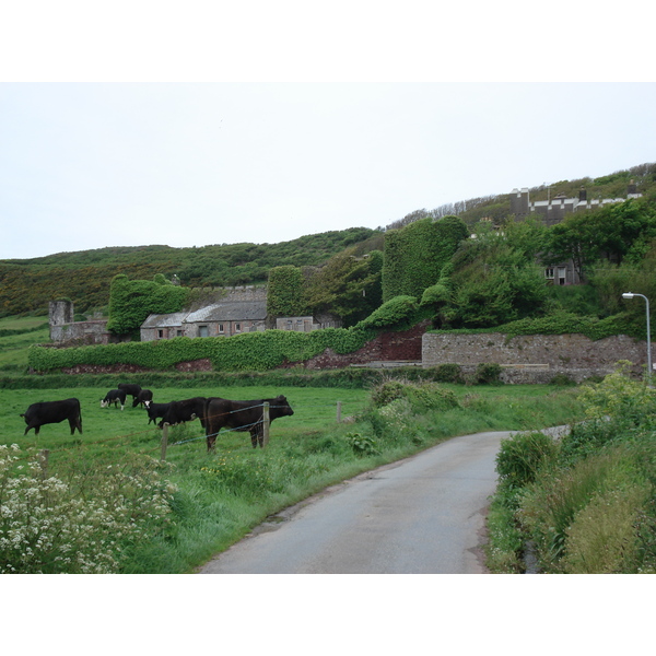 Picture United Kingdom Pembrokeshire Dale 2006-05 3 - Tour Dale