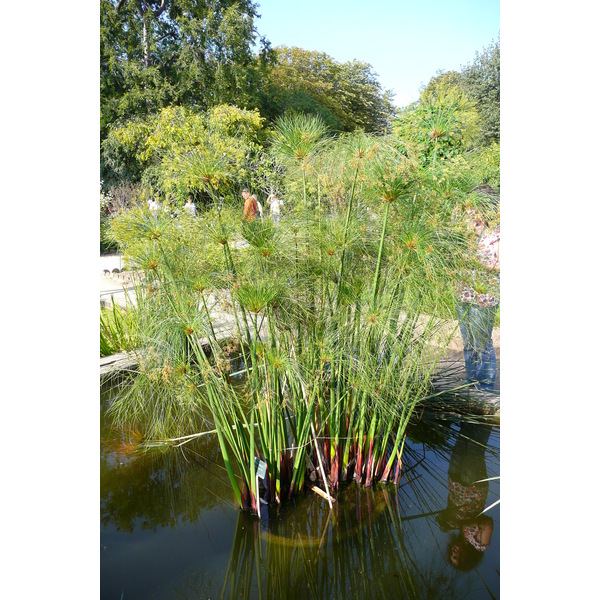 Picture France Paris Jardin des Plantes 2007-08 162 - Tour Jardin des Plantes