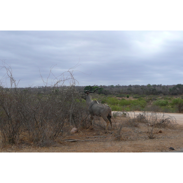 Picture South Africa Kruger National Park Sable River 2008-09 89 - History Sable River