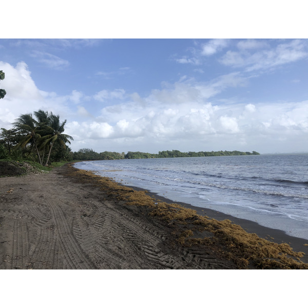 Picture Guadeloupe Viard Beach 2021-02 0 - Recreation Viard Beach