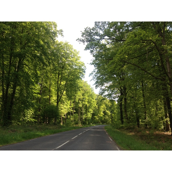 Picture France Lyons La Forêt 2014-05 87 - Journey Lyons La Forêt