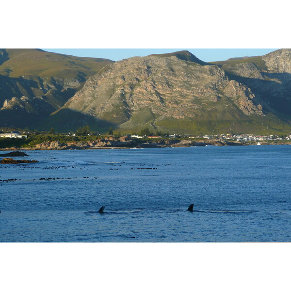 Picture South Africa Harmanus 2008-09 289 - History Harmanus