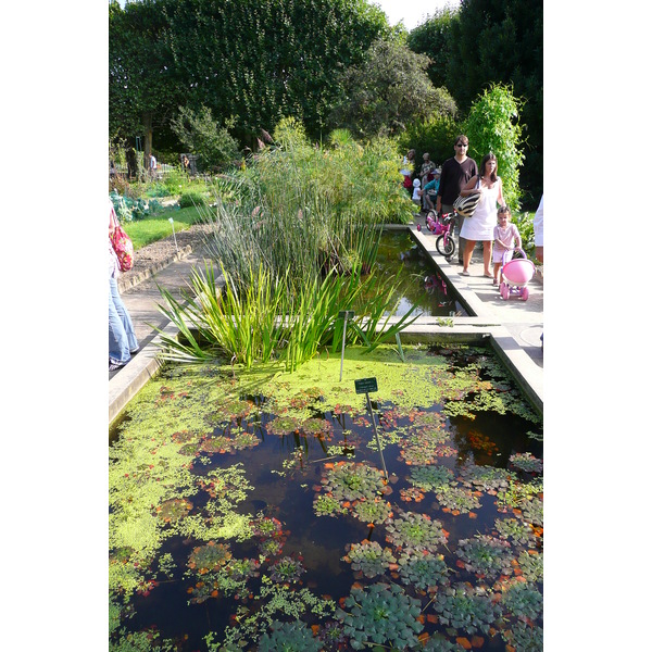 Picture France Paris Jardin des Plantes 2007-08 61 - History Jardin des Plantes