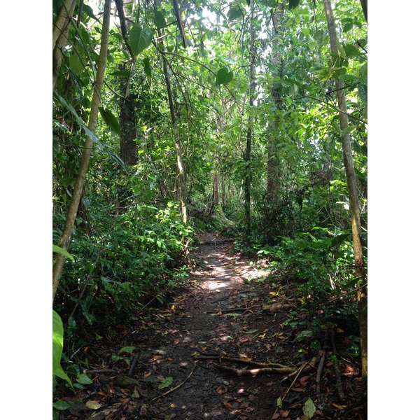 Picture Costa Rica Cahuita 2015-03 13 - Tours Cahuita