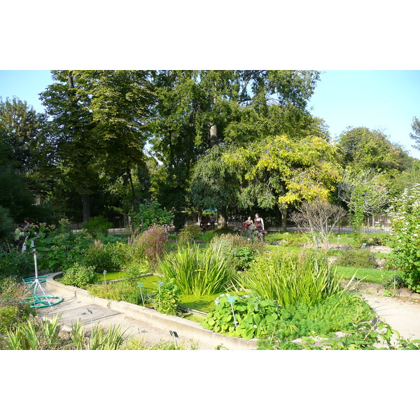 Picture France Paris Jardin des Plantes 2007-08 66 - Center Jardin des Plantes