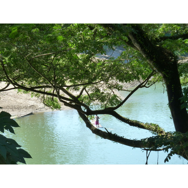 Picture Fiji Sigatoka river 2010-05 91 - Tour Sigatoka river