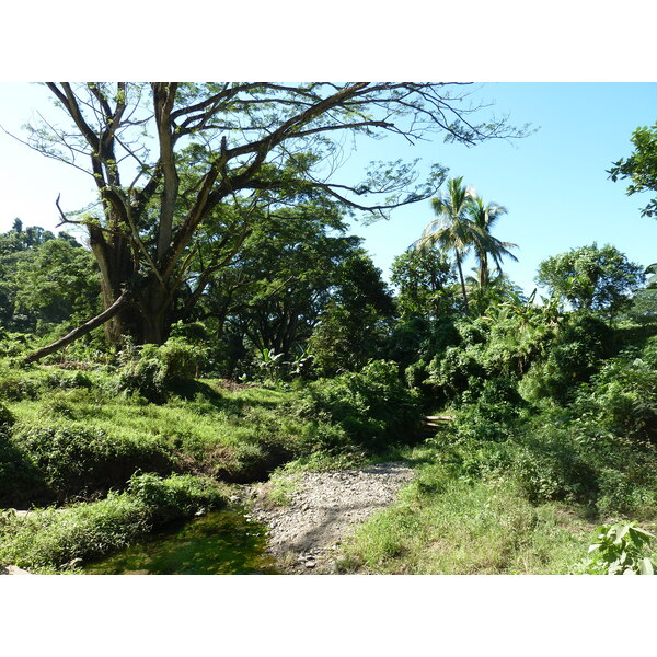 Picture Fiji Sigatoka river 2010-05 2 - Discovery Sigatoka river