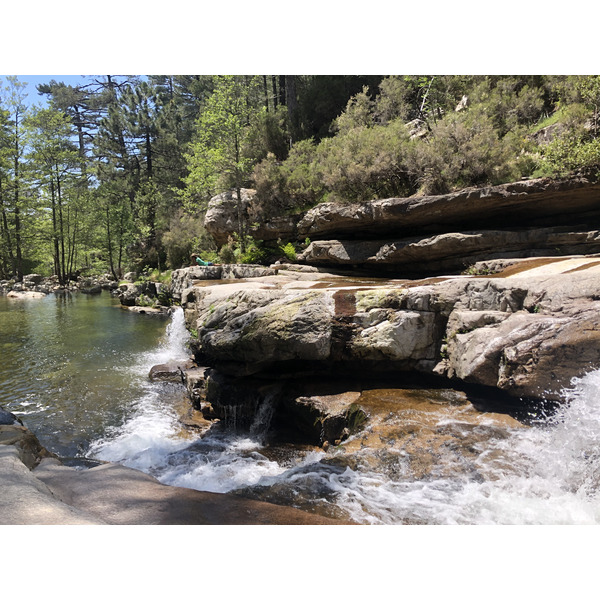 Picture France Corsica Aitone Forest 2021-06 40 - Around Aitone Forest