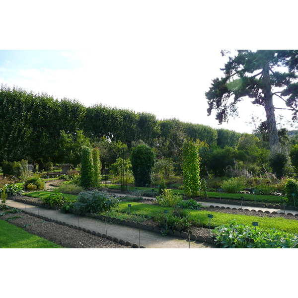 Picture France Paris Jardin des Plantes 2007-08 83 - Journey Jardin des Plantes