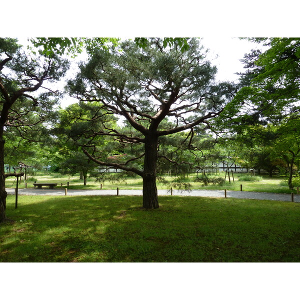 Picture Japan Kyoto Nijo Castle 2010-06 25 - Center Nijo Castle