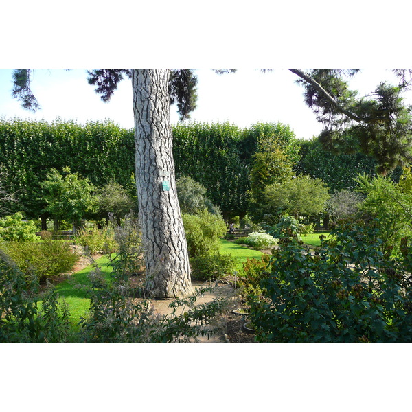 Picture France Paris Jardin des Plantes 2007-08 108 - Center Jardin des Plantes