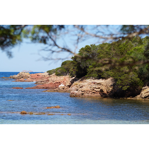 Picture France Corsica Rondinara Beach 2017-07 28 - Center Rondinara Beach