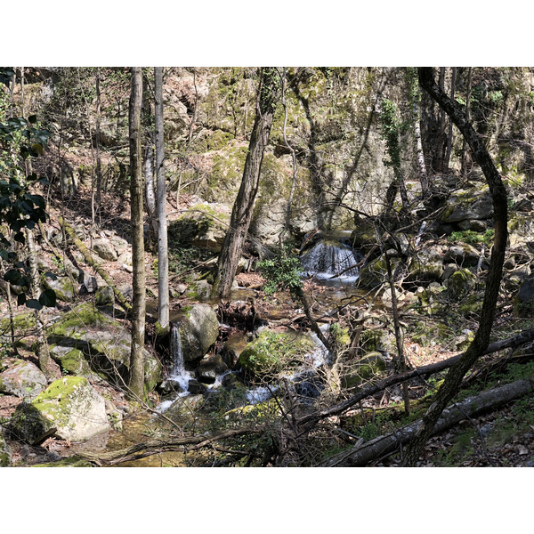 Picture France Abbaye Saint Martin du Canigou 2018-04 126 - Around Abbaye Saint Martin du Canigou