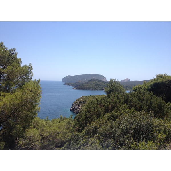 Picture Italy Sardinia Porto Conte Regional Natural Park 2015-06 26 - Tour Porto Conte Regional Natural Park