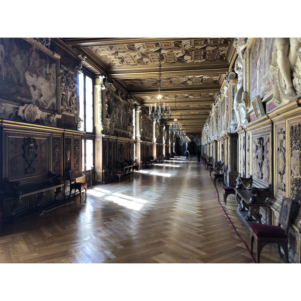 Picture France Fontainebleau 2019-04 183 - Discovery Fontainebleau