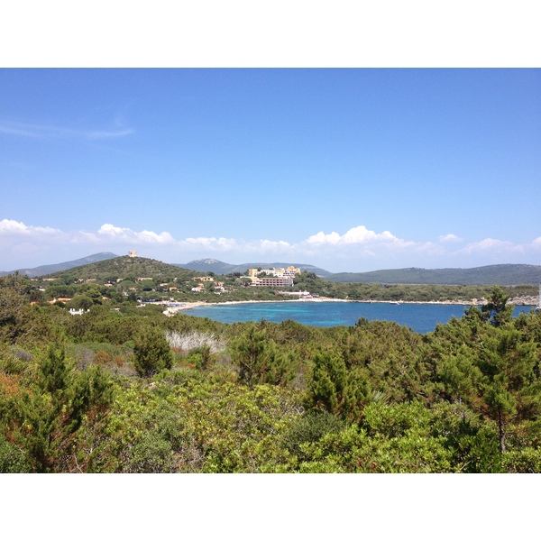 Picture Italy Sardinia Porto Conte Regional Natural Park 2015-06 32 - Tour Porto Conte Regional Natural Park