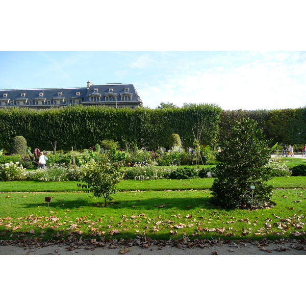 Picture France Paris Jardin des Plantes 2007-08 138 - Tours Jardin des Plantes