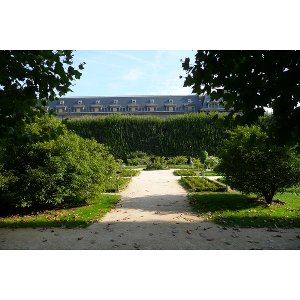 Picture France Paris Jardin des Plantes 2007-08 155 - History Jardin des Plantes