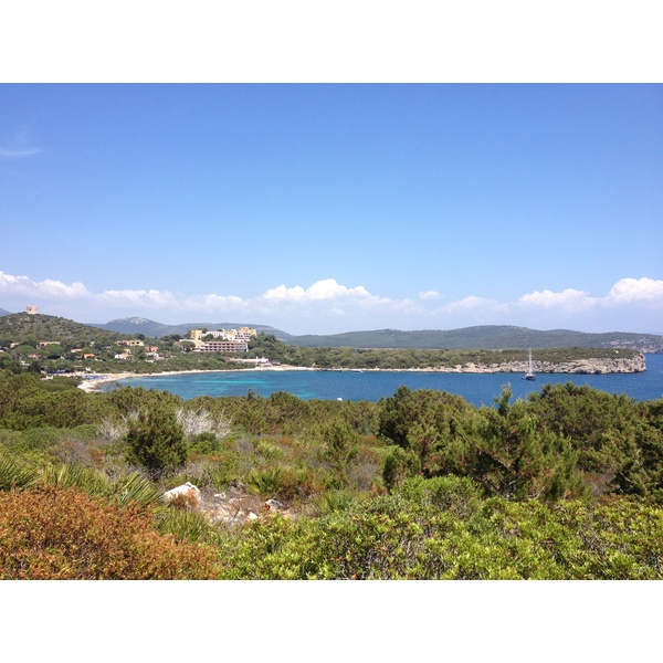 Picture Italy Sardinia Porto Conte Regional Natural Park 2015-06 16 - Around Porto Conte Regional Natural Park