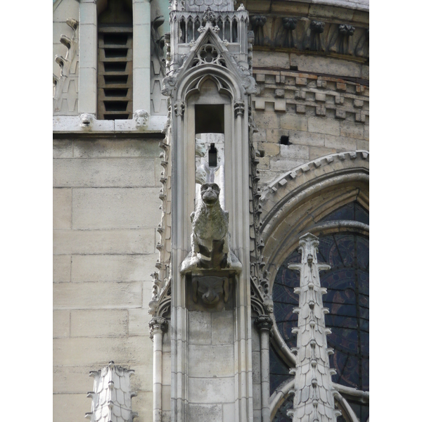 Picture France Paris Notre Dame 2007-05 87 - Recreation Notre Dame