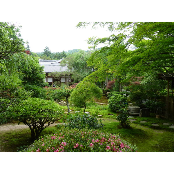 Picture Japan Kyoto Ryoanji Temple 2010-06 45 - Discovery Ryoanji Temple