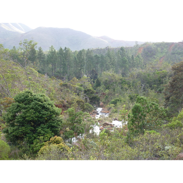 Picture New Caledonia Parc de la Riviere Bleue 2010-05 28 - Recreation Parc de la Riviere Bleue