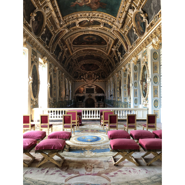 Picture France Fontainebleau 2019-04 112 - Discovery Fontainebleau