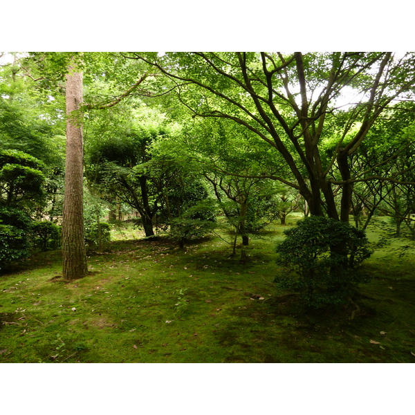 Picture Japan Kyoto Ryoanji Temple 2010-06 20 - Around Ryoanji Temple