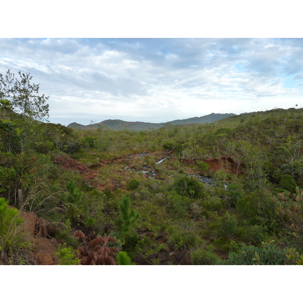 Picture New Caledonia Parc de la Riviere Bleue 2010-05 133 - Around Parc de la Riviere Bleue