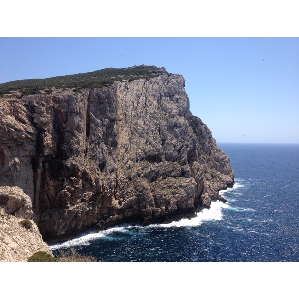 Picture Italy Sardinia Porto Conte Regional Natural Park 2015-06 17 - Around Porto Conte Regional Natural Park