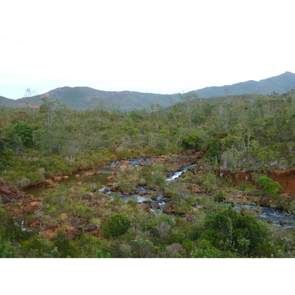 Picture New Caledonia Parc de la Riviere Bleue 2010-05 88 - Tour Parc de la Riviere Bleue