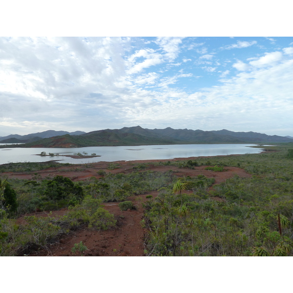 Picture New Caledonia Parc de la Riviere Bleue 2010-05 104 - Discovery Parc de la Riviere Bleue