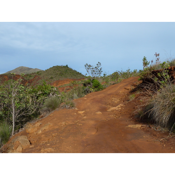 Picture New Caledonia Parc de la Riviere Bleue 2010-05 117 - Discovery Parc de la Riviere Bleue