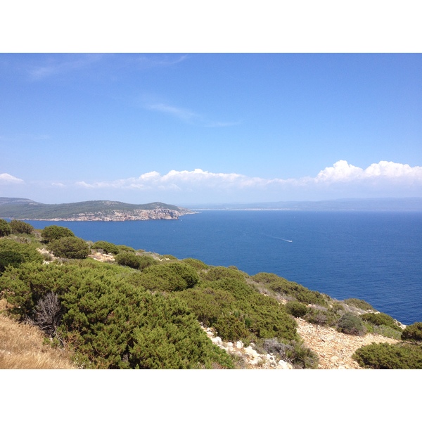 Picture Italy Sardinia Porto Conte Regional Natural Park 2015-06 15 - Around Porto Conte Regional Natural Park