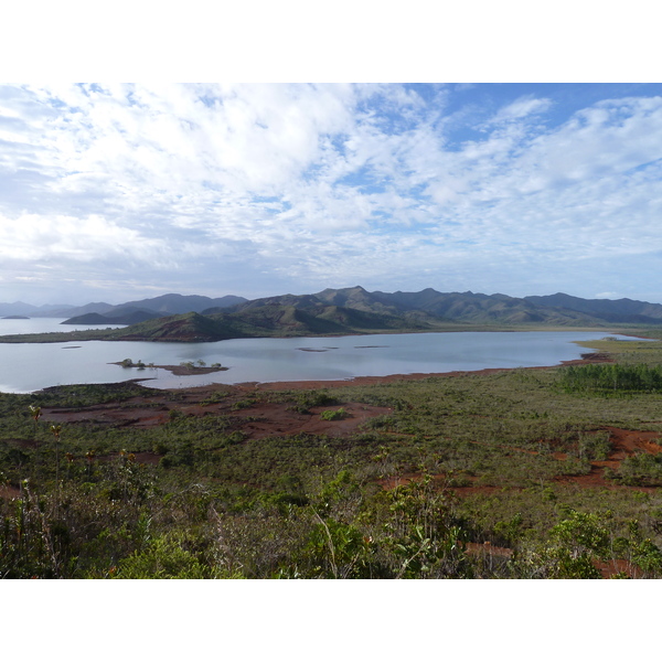 Picture New Caledonia Parc de la Riviere Bleue 2010-05 137 - Discovery Parc de la Riviere Bleue