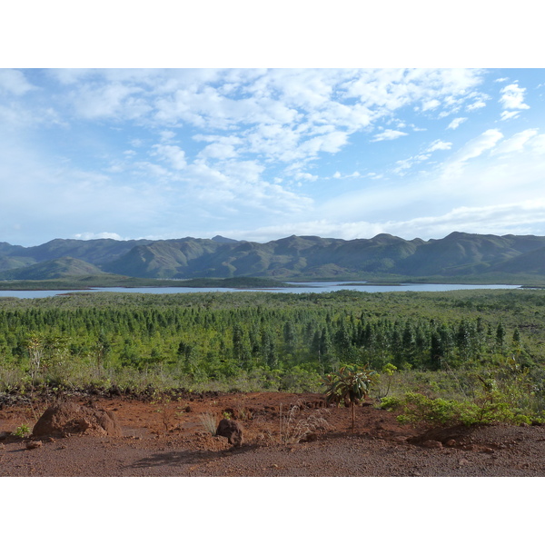 Picture New Caledonia Parc de la Riviere Bleue 2010-05 118 - Discovery Parc de la Riviere Bleue