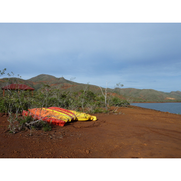 Picture New Caledonia Parc de la Riviere Bleue 2010-05 87 - Tours Parc de la Riviere Bleue