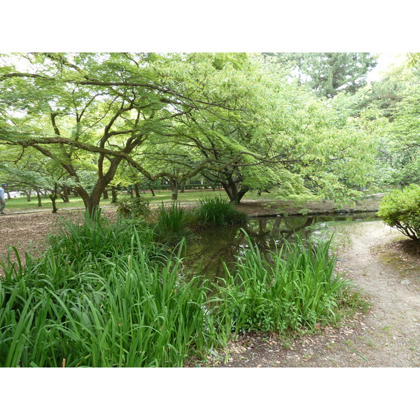 Picture Japan Kyoto Kyoto Gyoen Garden 2010-06 53 - Center Kyoto Gyoen Garden