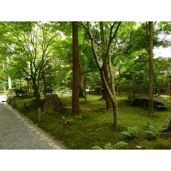 Picture Japan Kyoto Ryoanji Temple 2010-06 69 - Center Ryoanji Temple